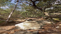 Enduro_el on mont ventoux