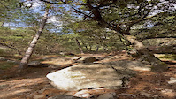 Enduro_el sur le Mont Ventoux
