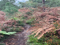 Zumetxa trail running