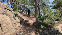 David Lee Roth trail