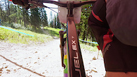 NW Cup Whitefish