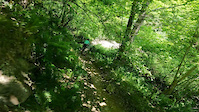 Creek fail