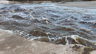 Dangerous Money Bayou Current