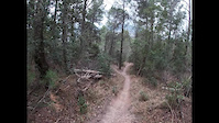 Panoramica trail