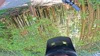 This is what downhill bikes are made for!...