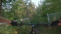 Drop in to ewok