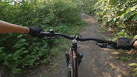 Hard tail still rips on the roots