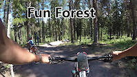 Fun Forest