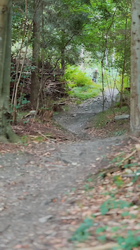 Richtplatz-Trail