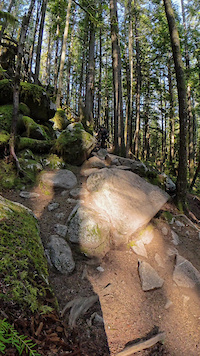 Entrails in Squamish