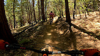 Scotts Flat Wreck