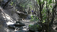 Relatively tricky section