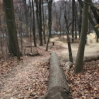 Pump track