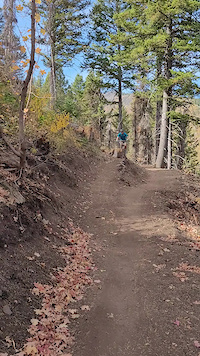 One of the jumps on Moose tracks