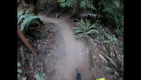 Basic run down Meet Cutter