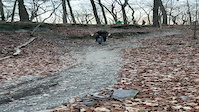 Global Fat Bike Day Ride