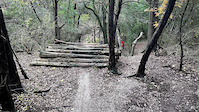 Marks Art - Log Feature Dec 2024