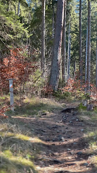 February Trails