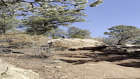 Jagged Ax Crash