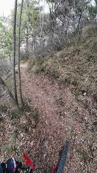 Bestone Nord POV Full Run 2025