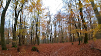 Stengerts Trails