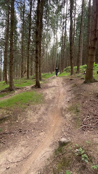 Bringewood