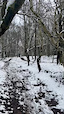DH line in snow