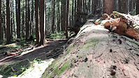 Log Drop on NOTG