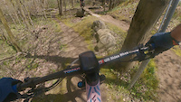 Tree down on Arriscraft
