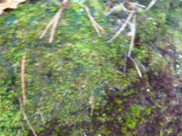 Must Watch Video
