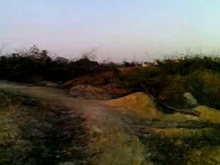 Must Watch Video