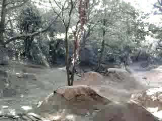 Must Watch Video