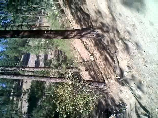 Must Watch Video