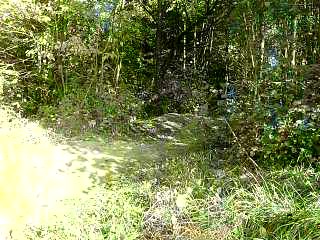 Must Watch Video