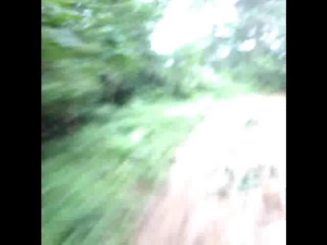 Must Watch Video