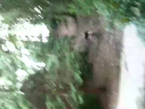 Must Watch Video