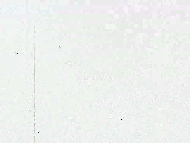 Must Watch Video