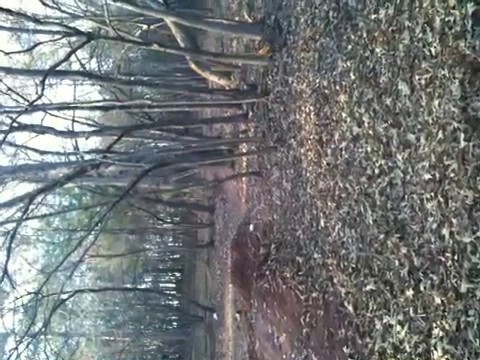 Must Watch Video
