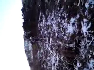 Must Watch Video