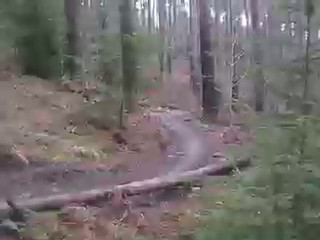 Must Watch Video