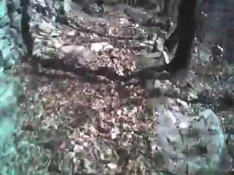 Must Watch Video