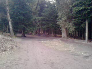 Must Watch Video