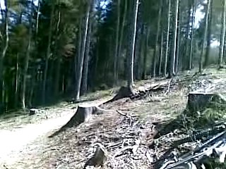 Must Watch Video