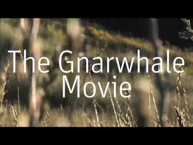 Must Watch Video