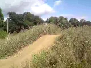Must Watch Video