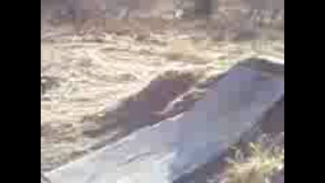 Must Watch Video