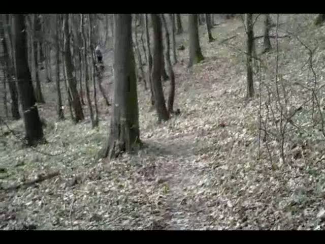 Must Watch Video