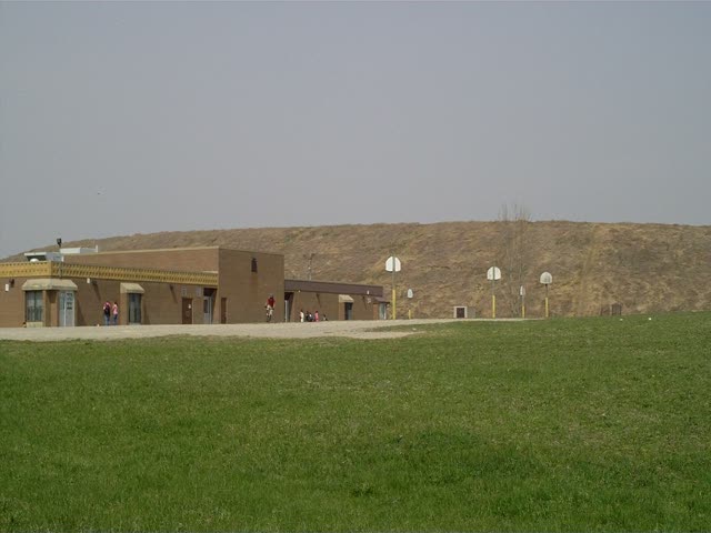 Must Watch Video