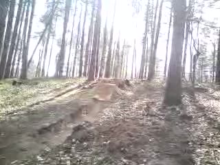 Must Watch Video