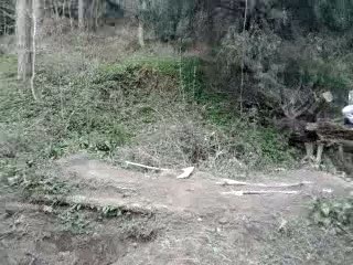Must Watch Video